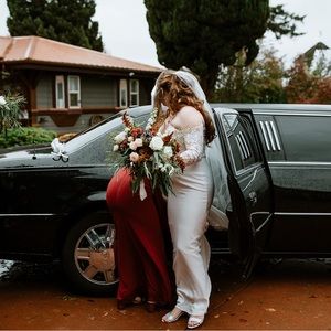 Pronovias Dracma Wedding dress